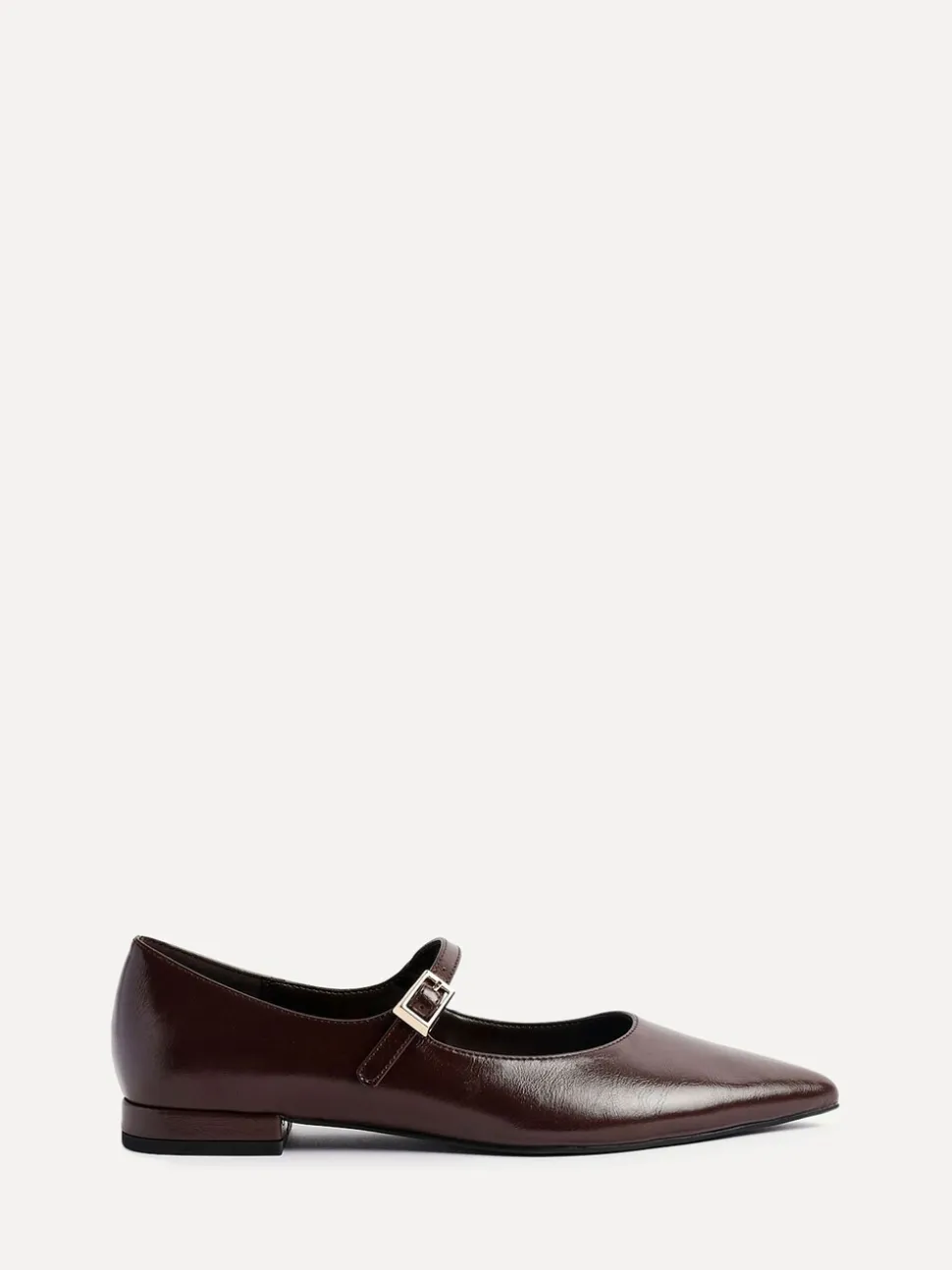Bruin - Linzi Seattle Mary Jane Lage schoenen met spitse neus