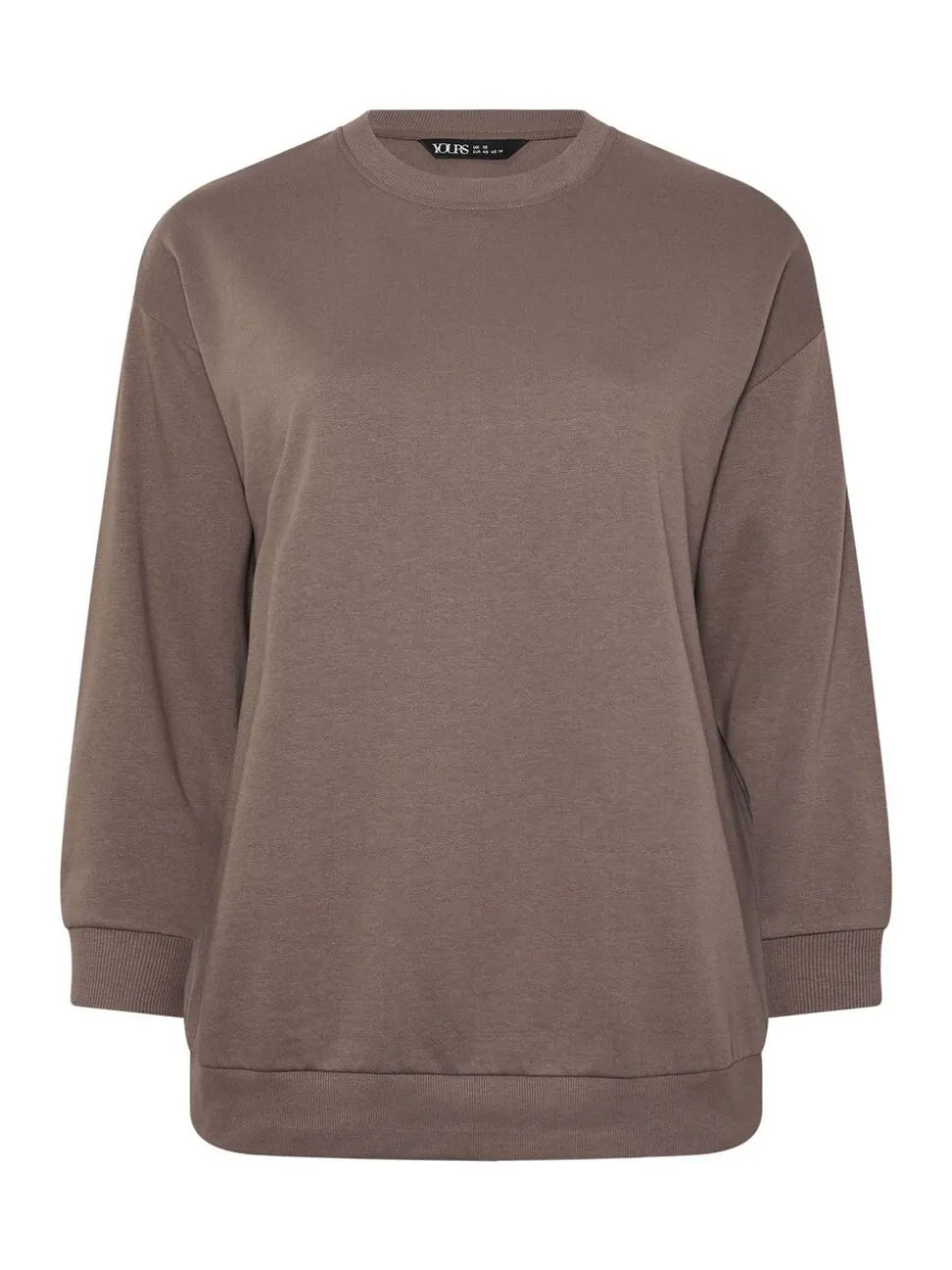 Bruin - Yours Curve Basic Sweatshirt