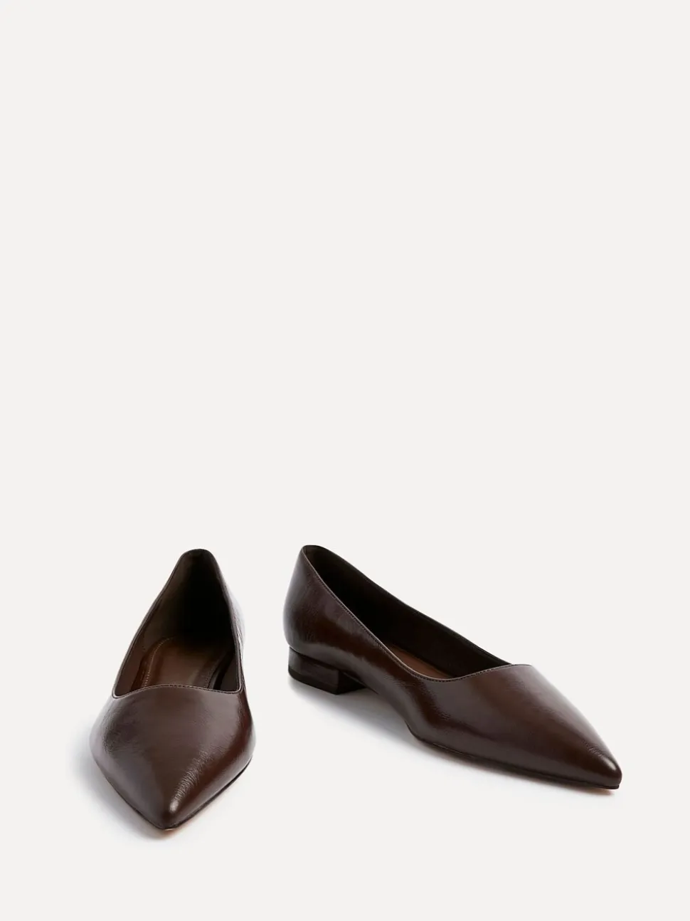 Donkerbruin - Linzi Orian Pointed Toe Ballet Flats