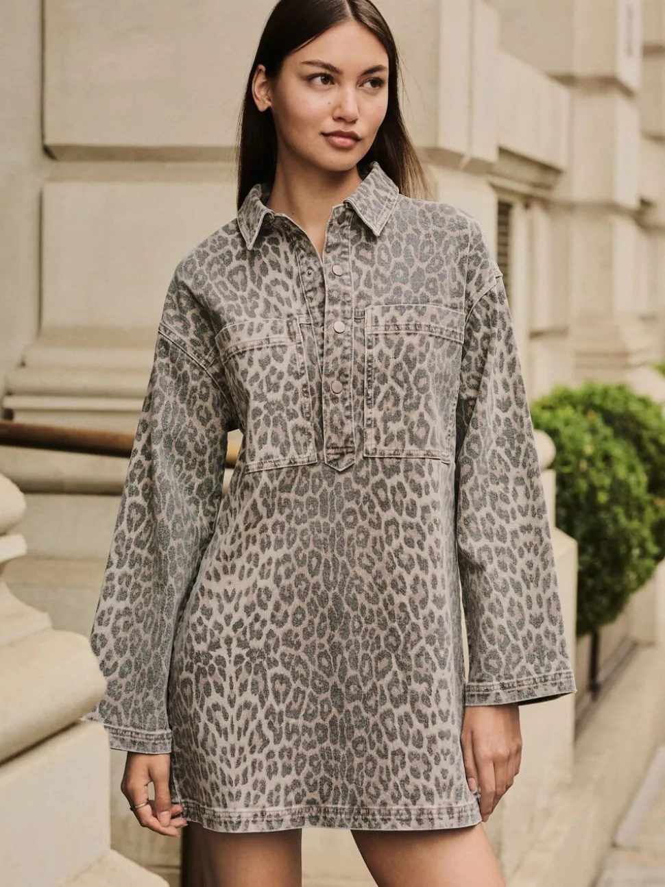 Luipaardprint - Mini Long Sleeve Utility Denim Dress