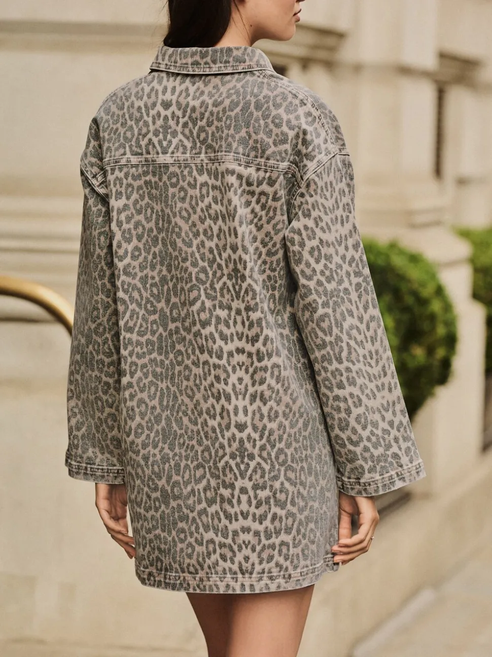 Luipaardprint - Mini Long Sleeve Utility Denim Dress