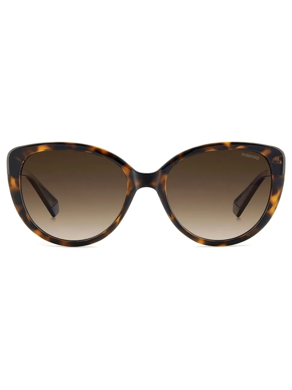 Polaroid Brown Cat Eye Sunglasses