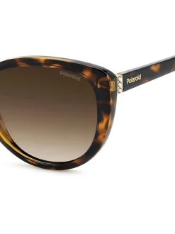 Polaroid Brown Cat Eye Sunglasses