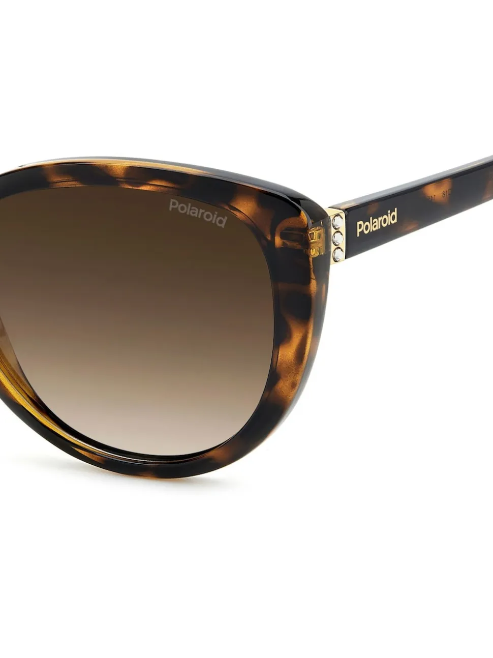Polaroid Brown Cat Eye Sunglasses