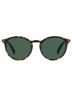 Polaroid Havanas Panthos Brown Sunglasses