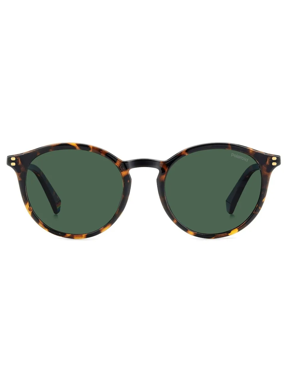 Polaroid Havanas Panthos Brown Sunglasses
