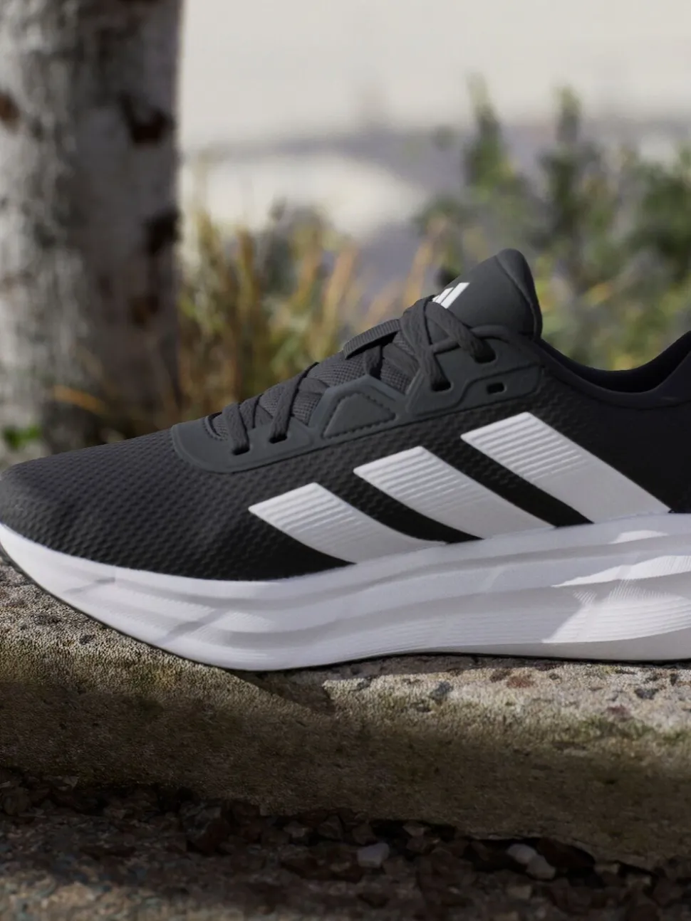 Zwart/wit - adidas Galaxy 7 sneakers